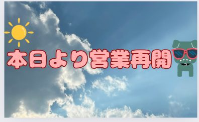 🚗本日より営業しております🚗