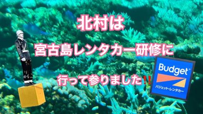 花川店北村は、宮古島へレンタカー研修に行ってきました！！